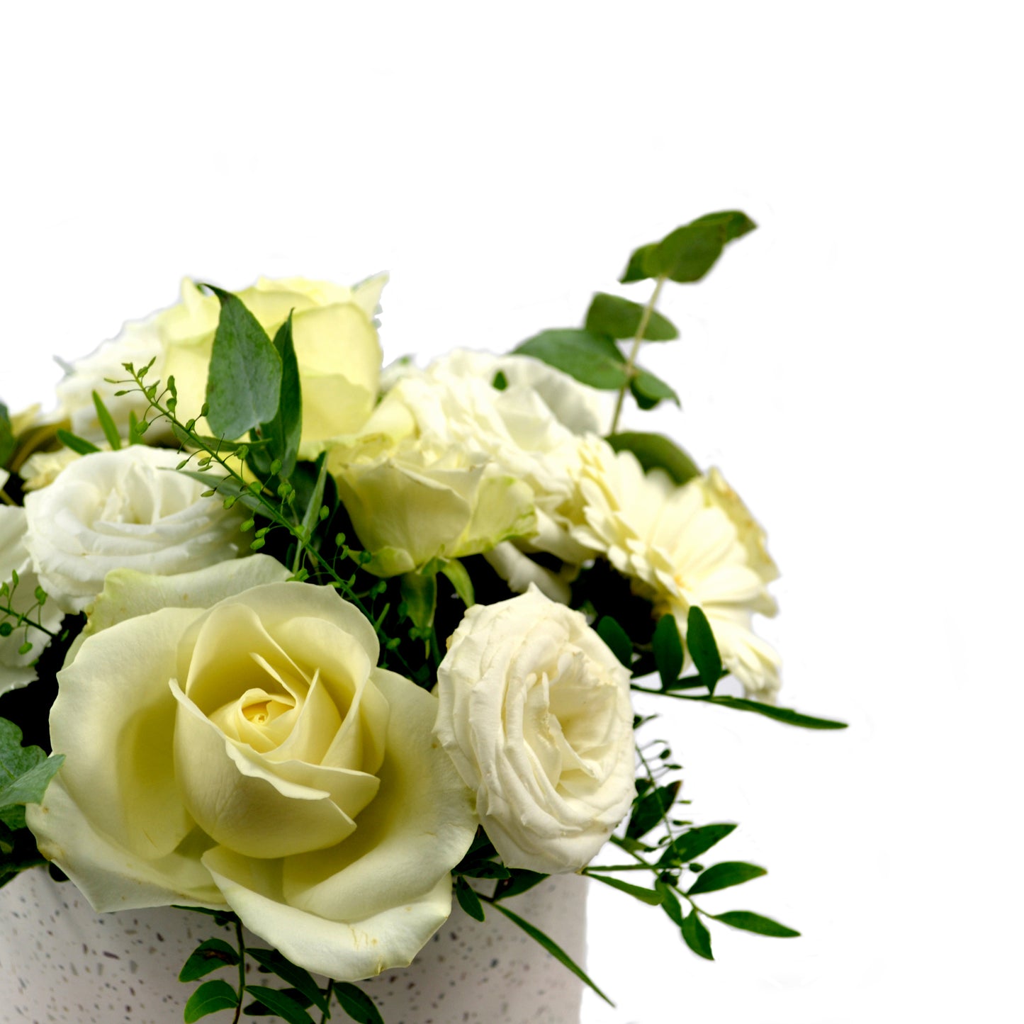 Elegant Neutrality Arrangement