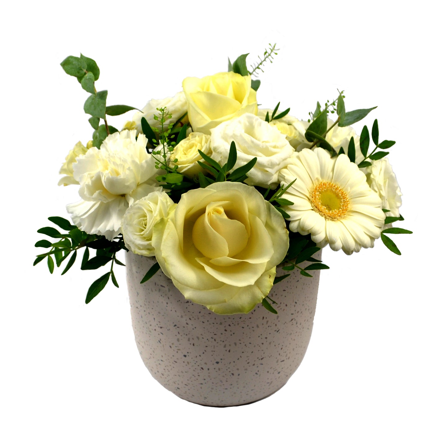 Elegant Neutrality Arrangement